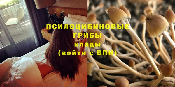 ECSTASY Аркадак