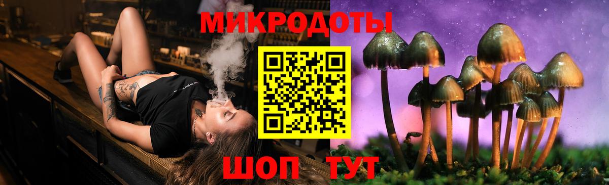 Галлюциногенные грибы Magic Shrooms  Вход с VPN  Курск  купить наркотики цена  Псилоцибиновые грибы MAGIC MUSHROOMS 